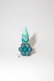 Bloom - Geranium & Sea Moss Air Freshener