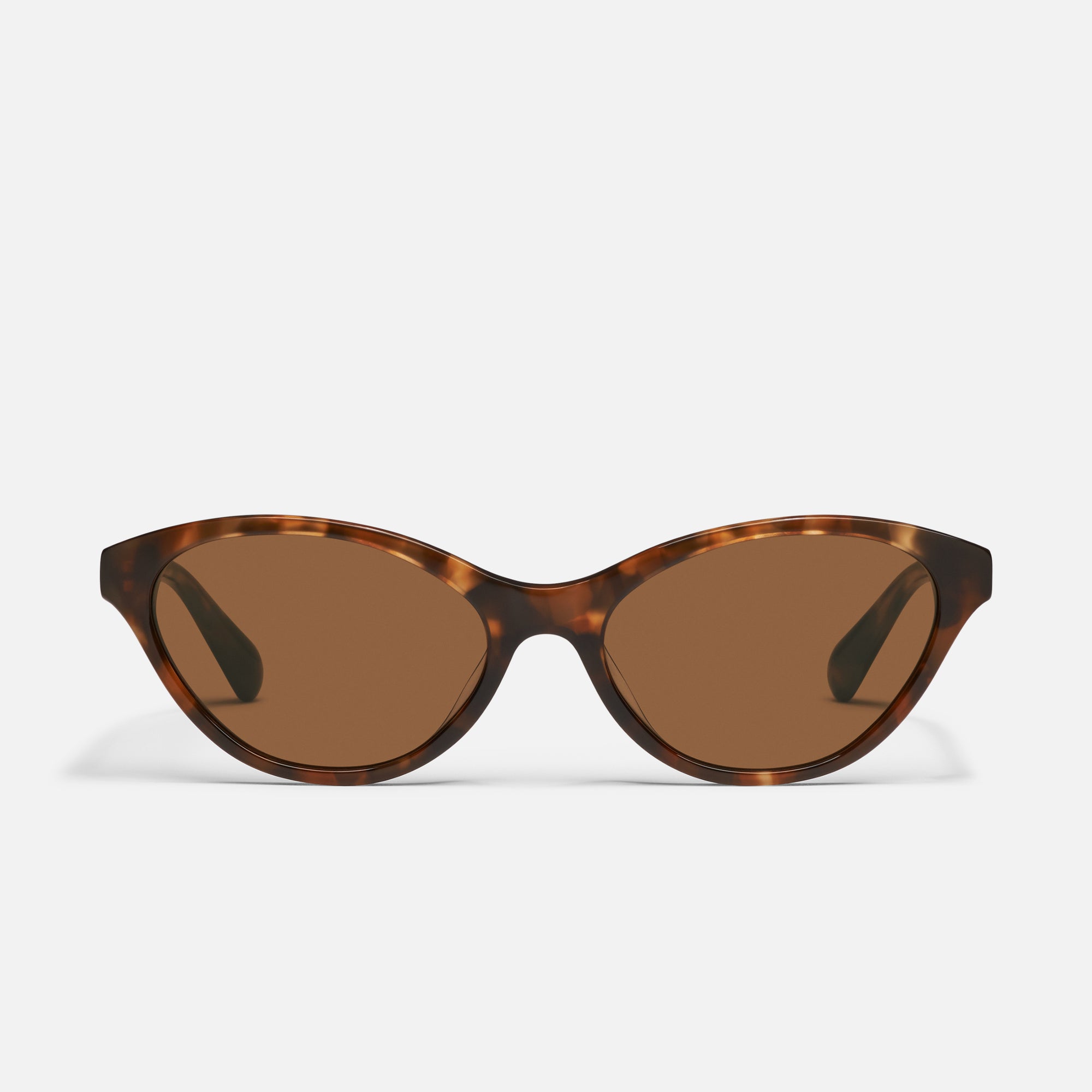 Talk Nice Amber Tort Frame Brown Lens