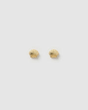 Shelli Gold Studs