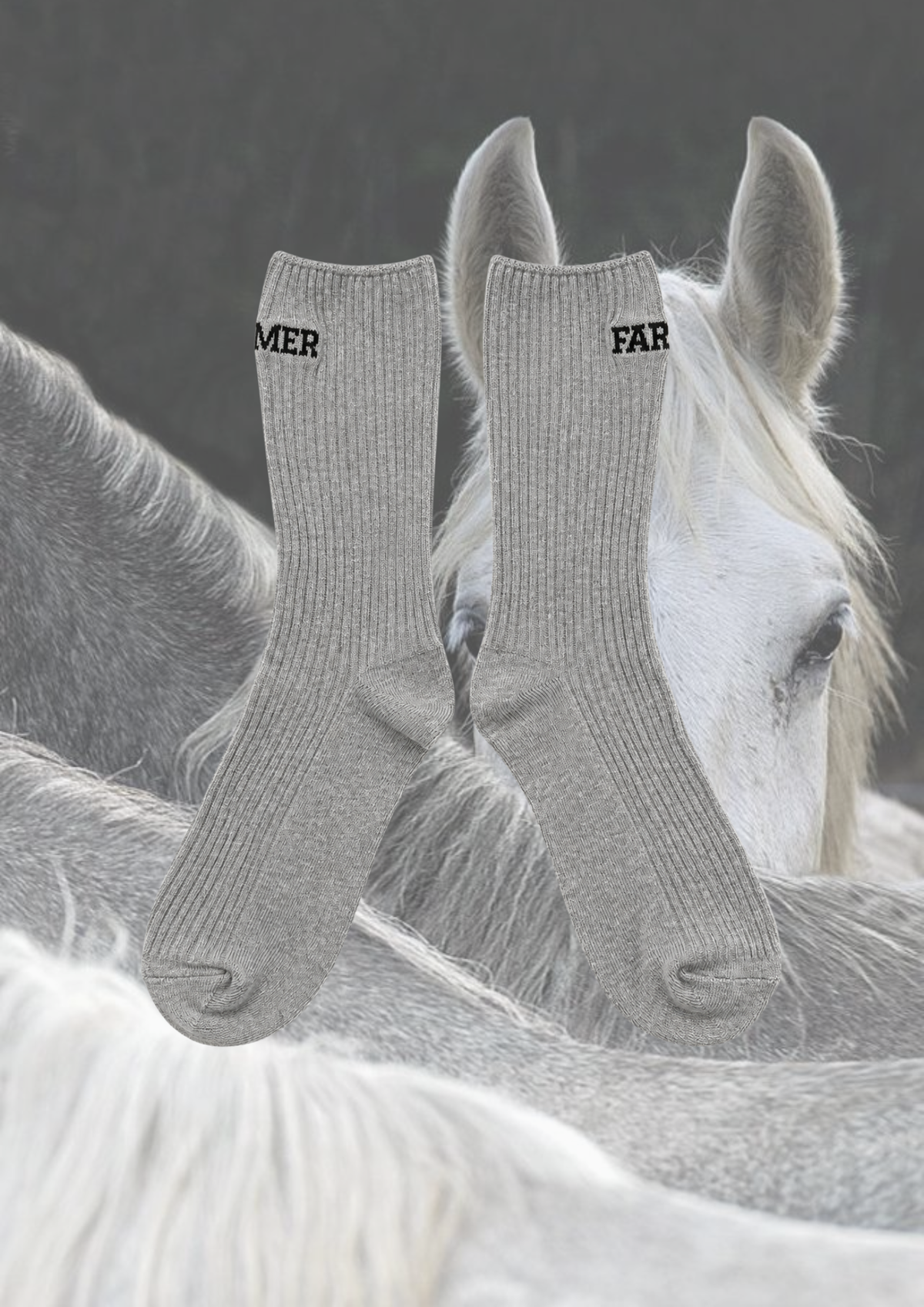 Grey Gelding Socks